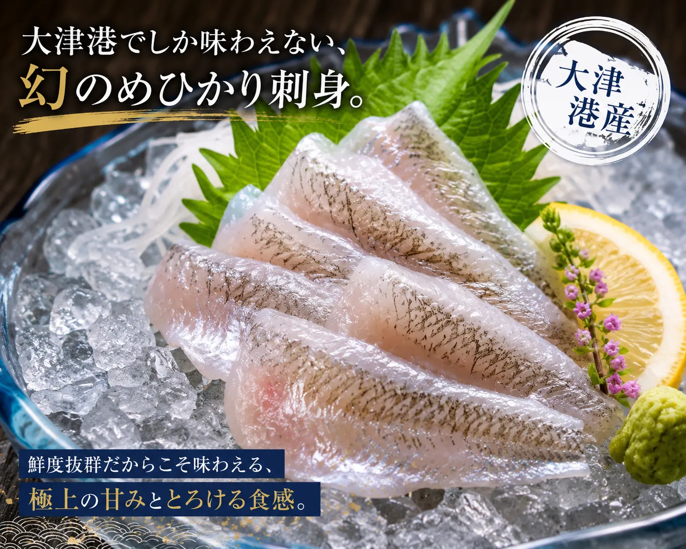 大津港産 めひかり刺身
