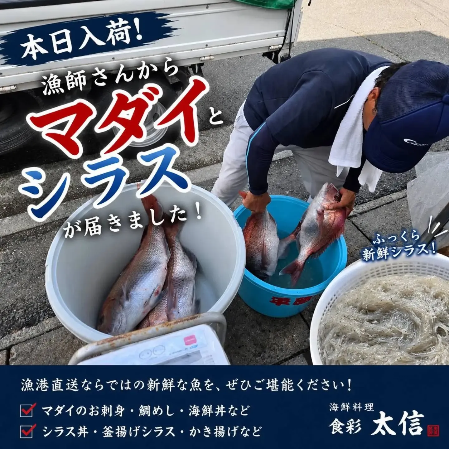 本日、漁師さんから朝獲れのマダイとシラスが届きました!