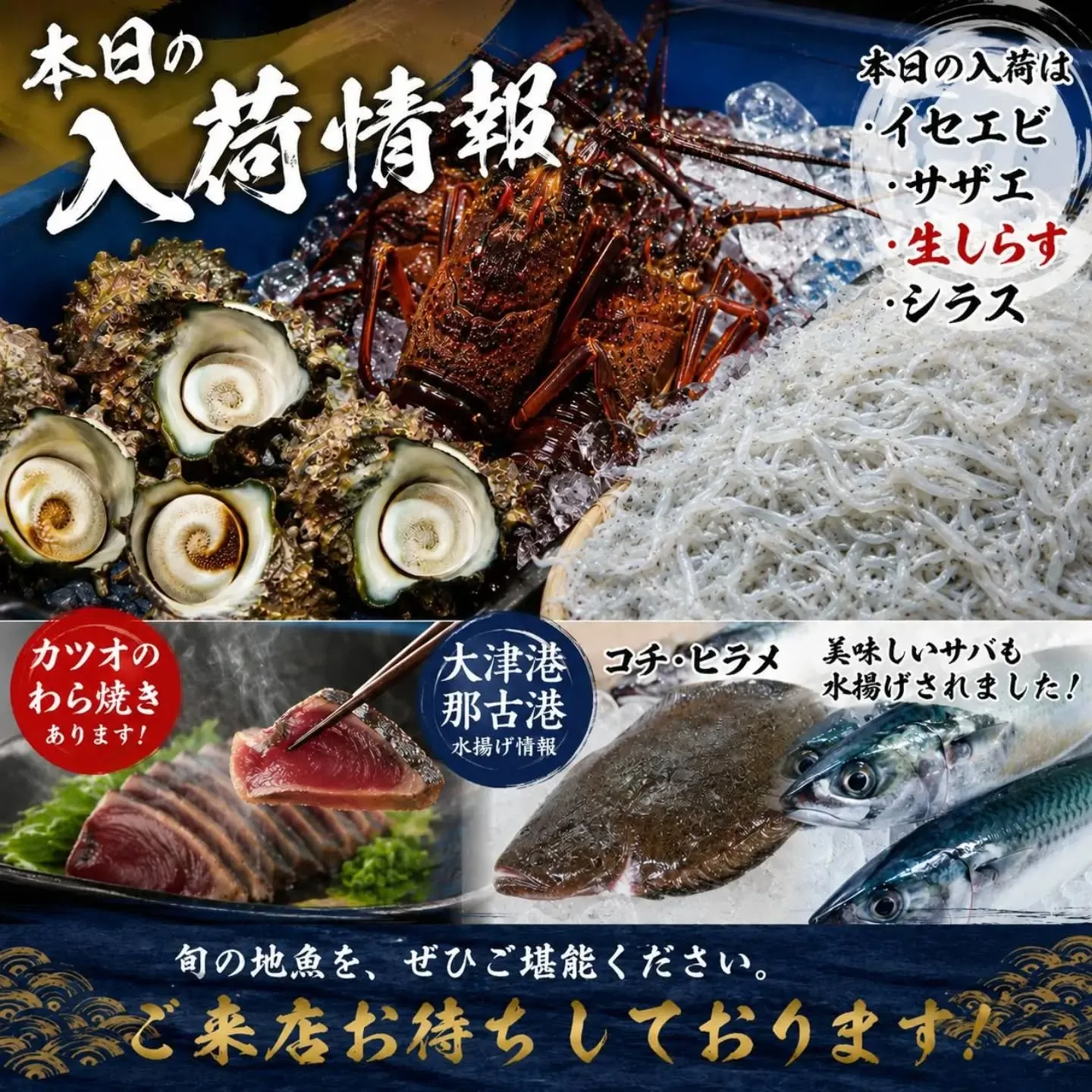 📢 本日の入荷情報!
