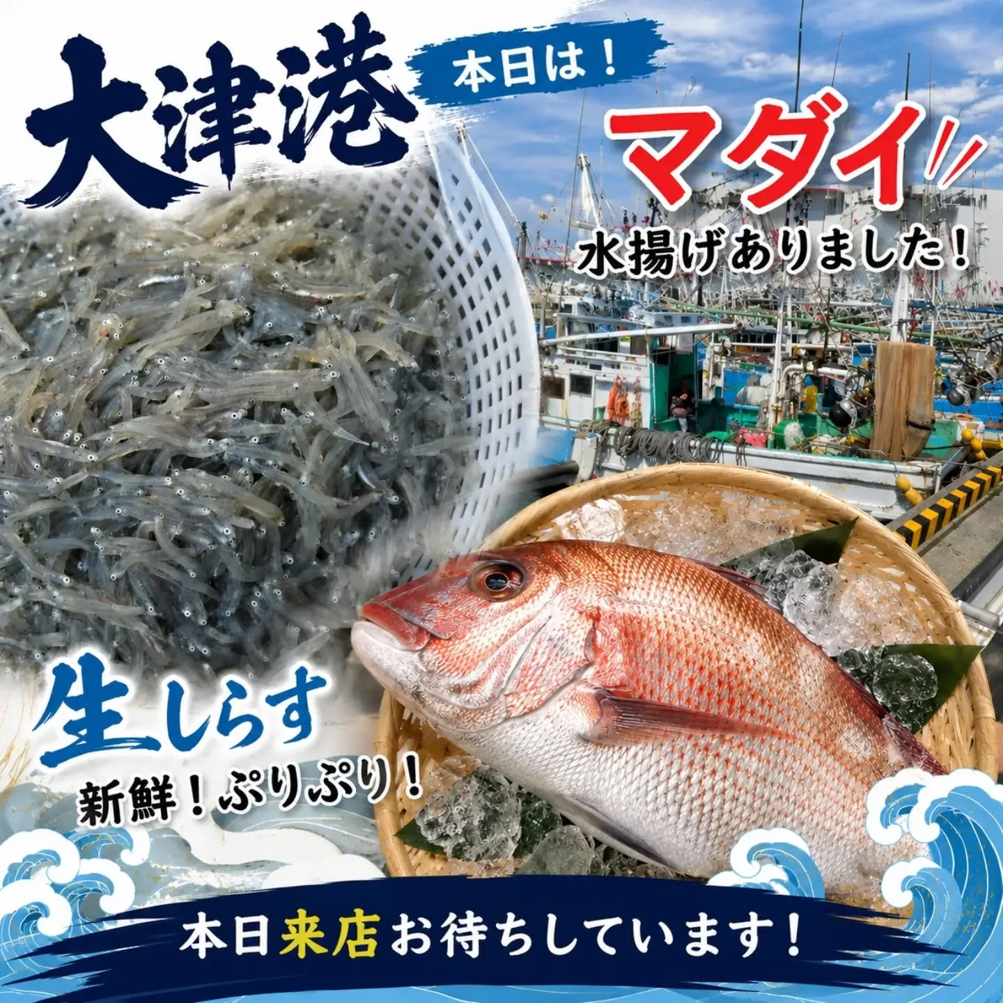 🌊 本日も大津港から新鮮な海の幸が届きました! 🌊